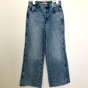 NWT Pacsun High Rise Baggy Jeans size 27